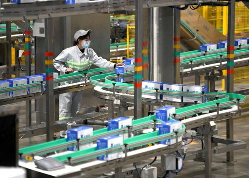 吳忠綠色食品產業砥礪奮進 再創佳績